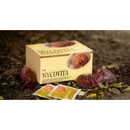 Mycovita 30 sachets de 24 grammes Ganoderma